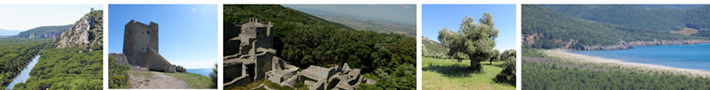 galleria di foto